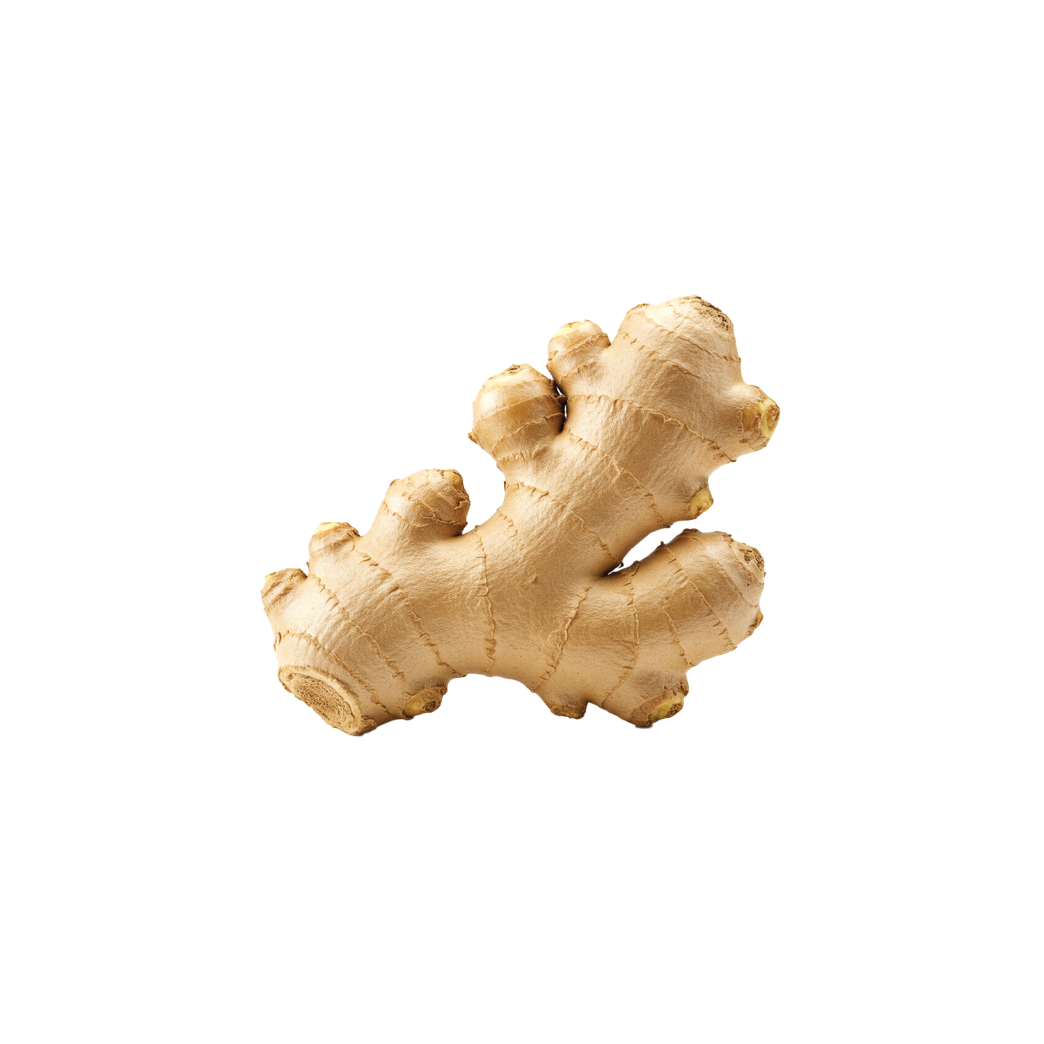 TEW003_INGREDIENTS-2.png